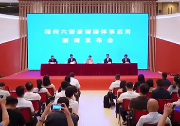 梧州六堡茶溯源平台建成上线并投入运行